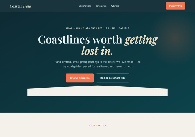 Preview of the travel website template